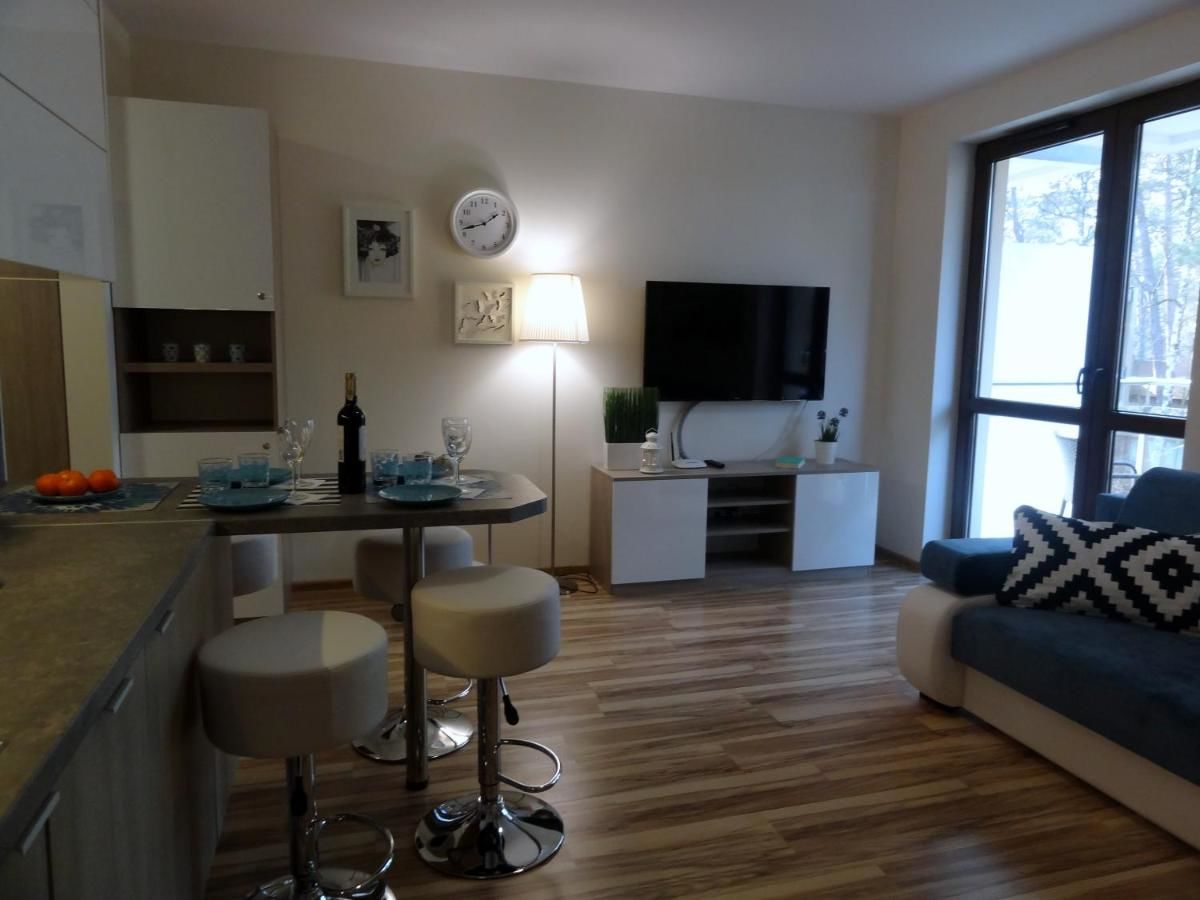 Апартаменты Apartament Przy Plaży Крыница-Морска-6