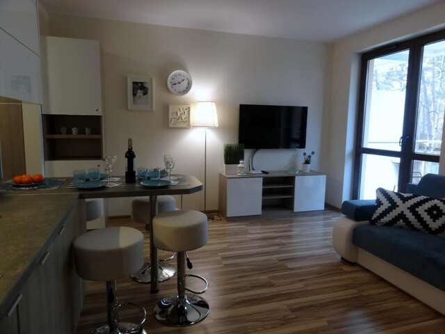 Апартаменты Apartament Przy Plaży Крыница-Морска-5